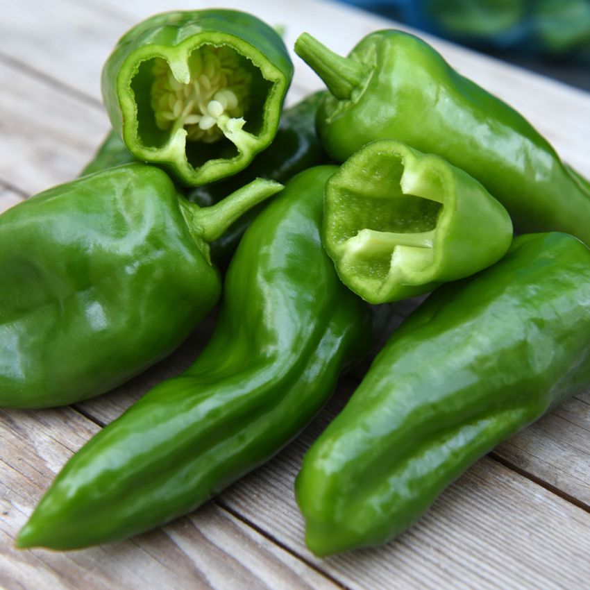 Chilipaprika 'Padron'