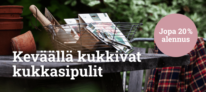 Keväällä kukkivat kukkasipulit