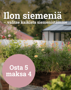 Ilon siemeniä - Osta 5 maksa 4