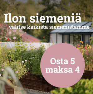 Ilon siemeniä - Osta 5 maksa 4