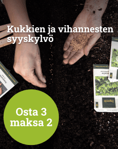 Kukkien ja vihannesten syyskylvö - osta 3 maksa 2