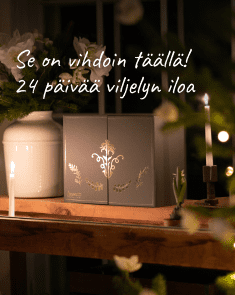 Se on vihdoin täällä! Joulukalenterin